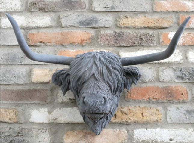 Grey Cow Head