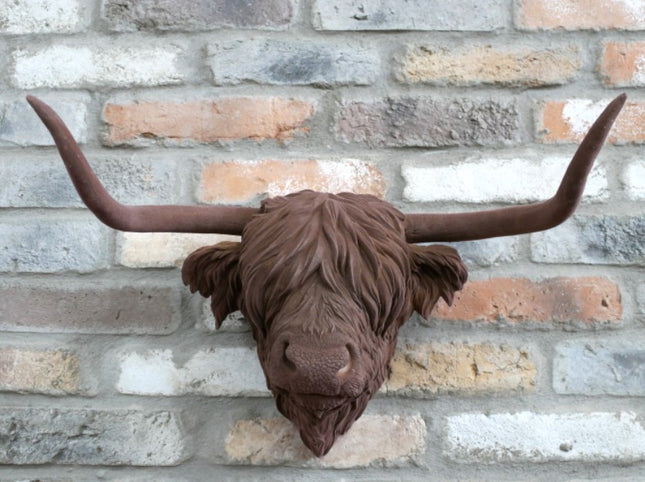 Brown Cow Head