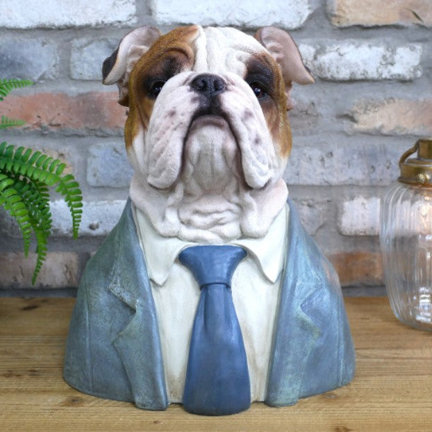 Large Dressed Up Bulldog Bust