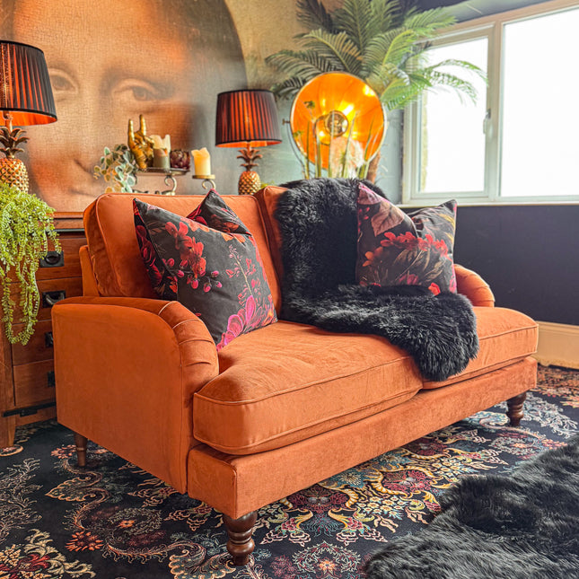 Albert in Plush Velvet