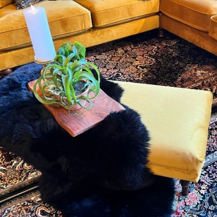 Albert Footstool in Plush Velvet