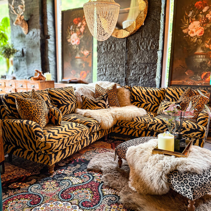 Albert Corner in Animal Zebra 