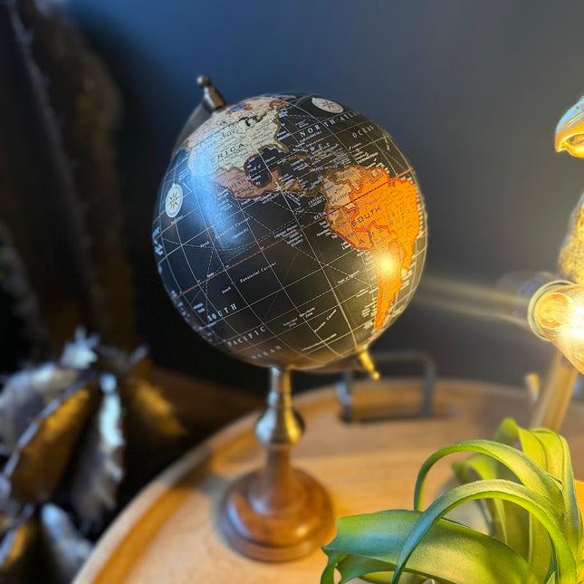 Antique Globe on Brass & Wood Stand