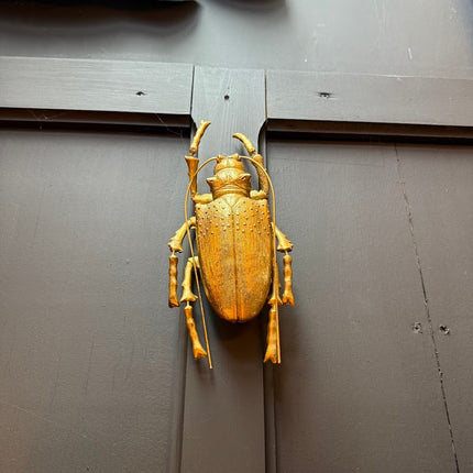 Antique Gold Large Wall Hanging Beetle