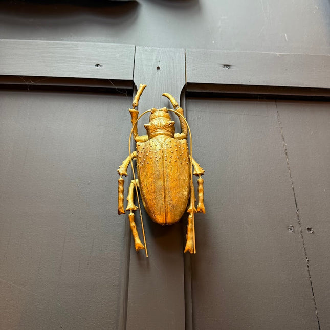 Antique Gold Large Wall Hanging Beetle