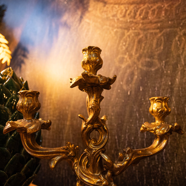 Antique Gold Ornate Candelabra