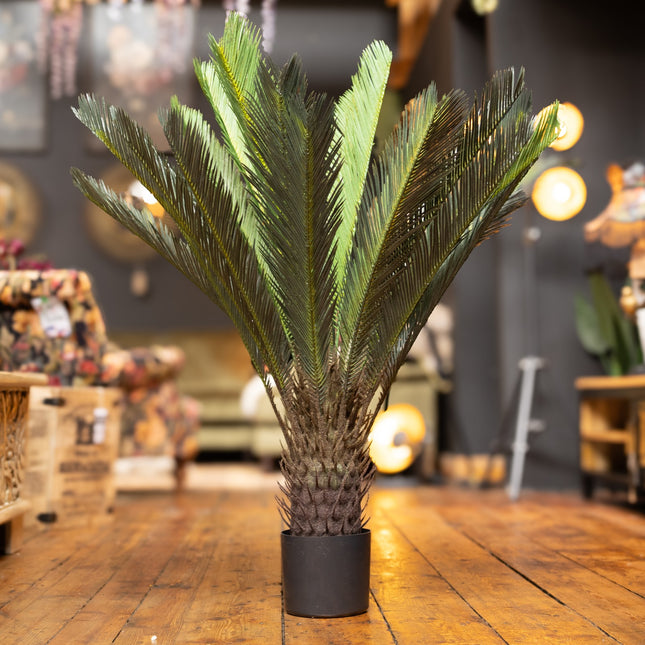 Artificial Cycad Plant - Clearance