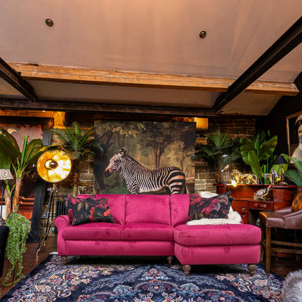 Benji in Plush Velvet