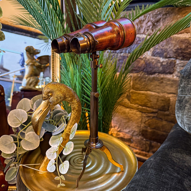 Binoculars On A Stand