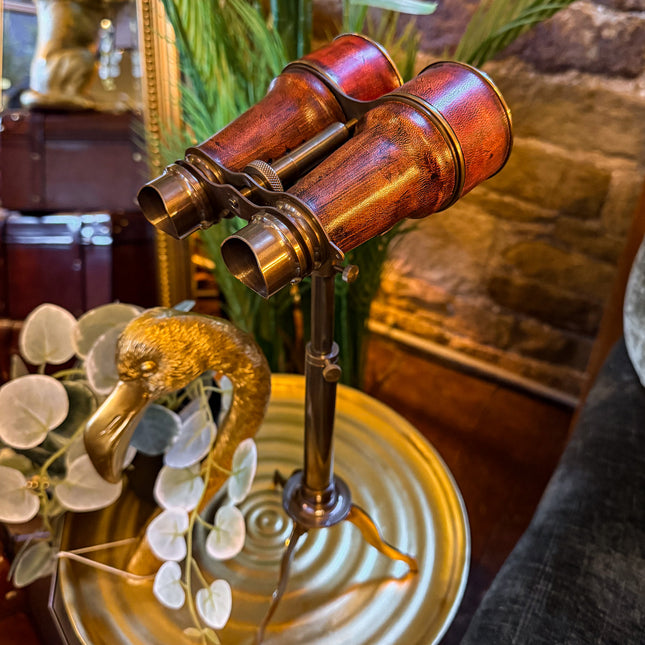 Binoculars On A Stand