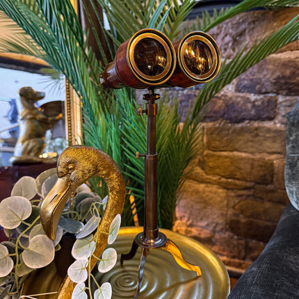 Binoculars On A Stand