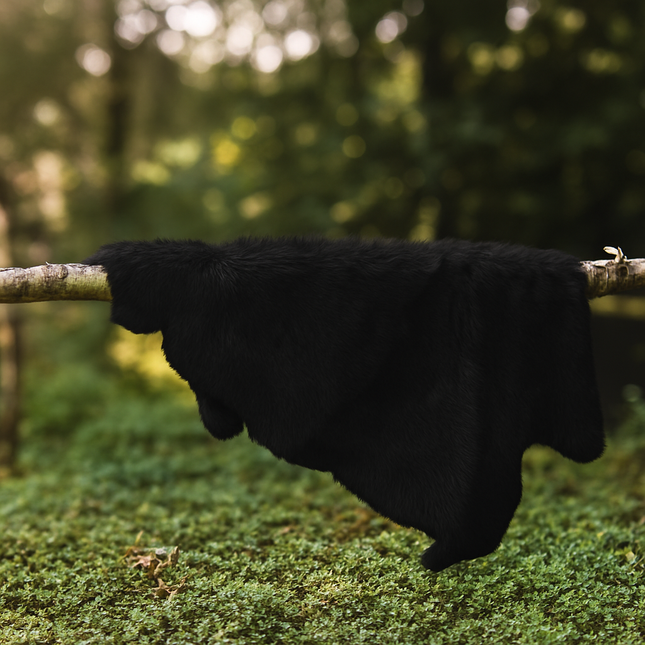 Sheepskin Rug in Black - Single