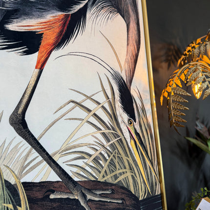 Blue Heron Canvas Wall Art (Various Sizes)