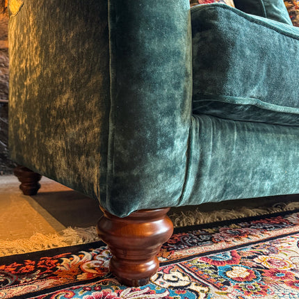 Bugsby in Sunshine Velvet