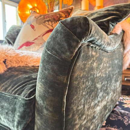 Bugsby in Sunshine Velvet