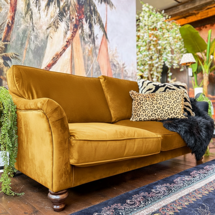 Bugsby in Plush Velvet