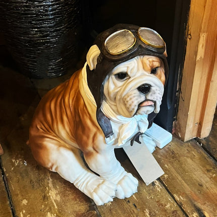 Bulldog Pilot