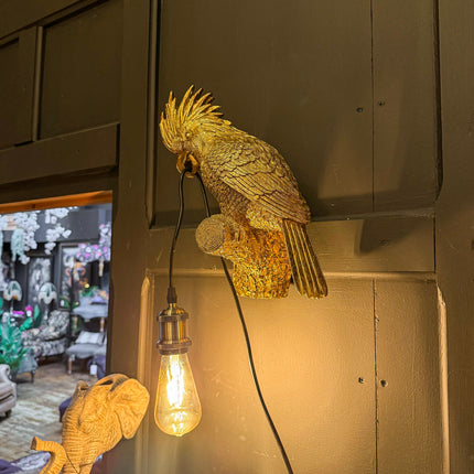 Cockatoo Wall Sconce Light