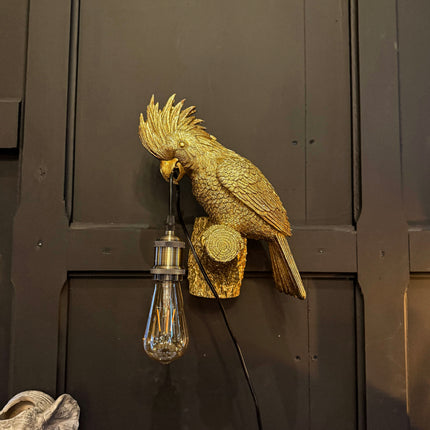 Cockatoo Wall Sconce Light