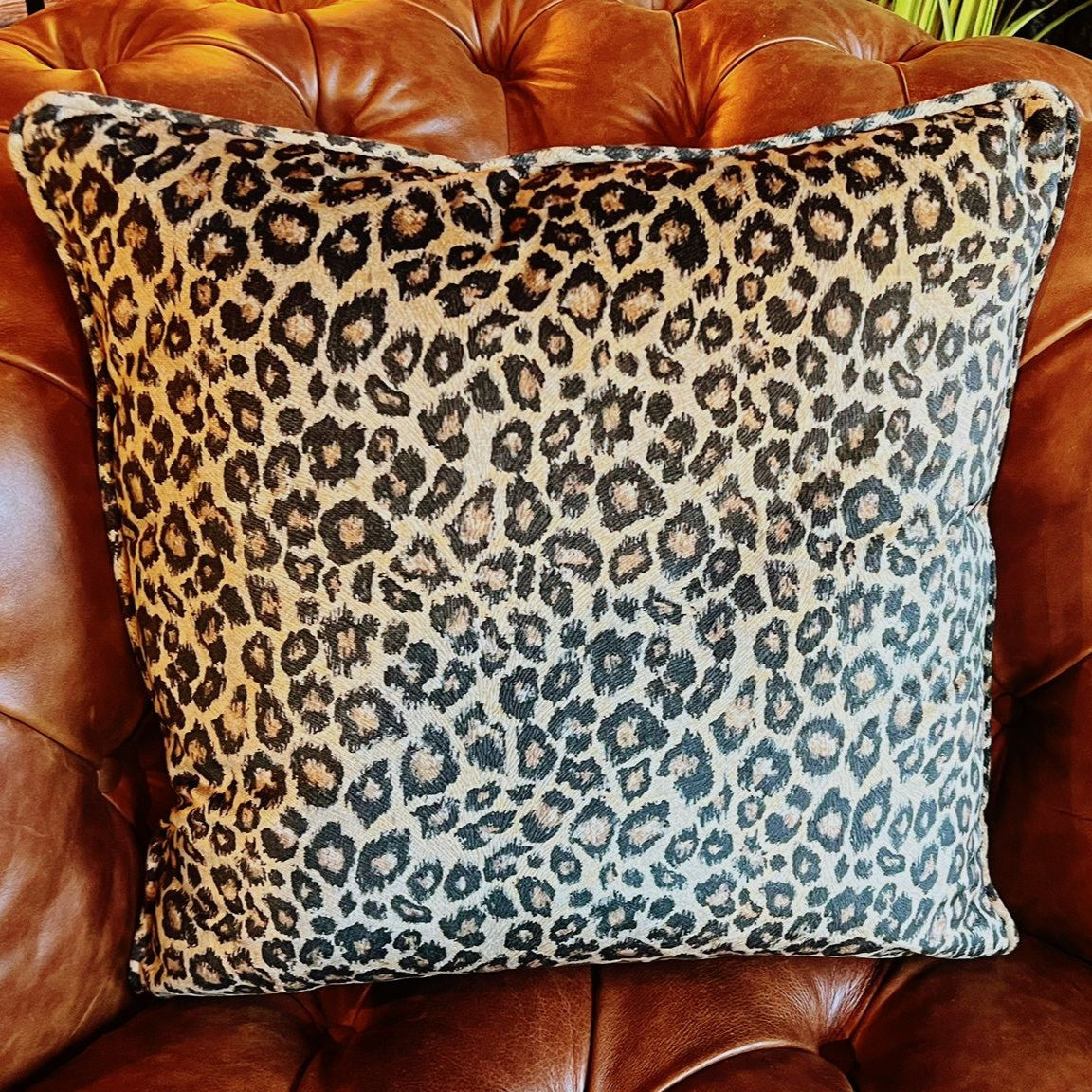 Leopard velvet outlet cushion