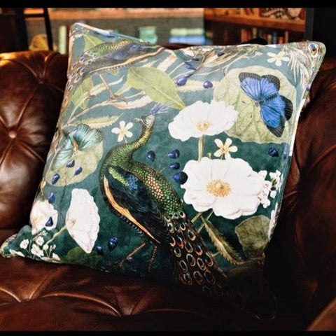 Cushion Limited Edition in Peacock Butterfly Teal Velvet (55 x 55cm) Feather Filled