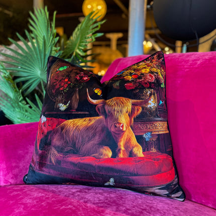 Cushion Scatter in Highland Cow Velvet (Feather Filled) - 60 x 60cm