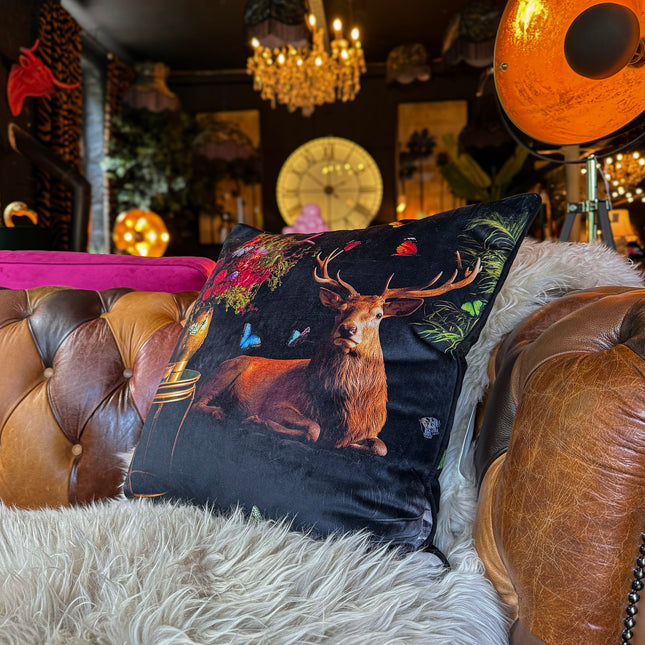 Cushion Scatter in Royal Stag Velvet (Feather Filled) - 60 x 60cm