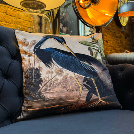 Cushion Scatter in The Louisiana Heron Velvet (Feather Filled) - 60 x 60cm