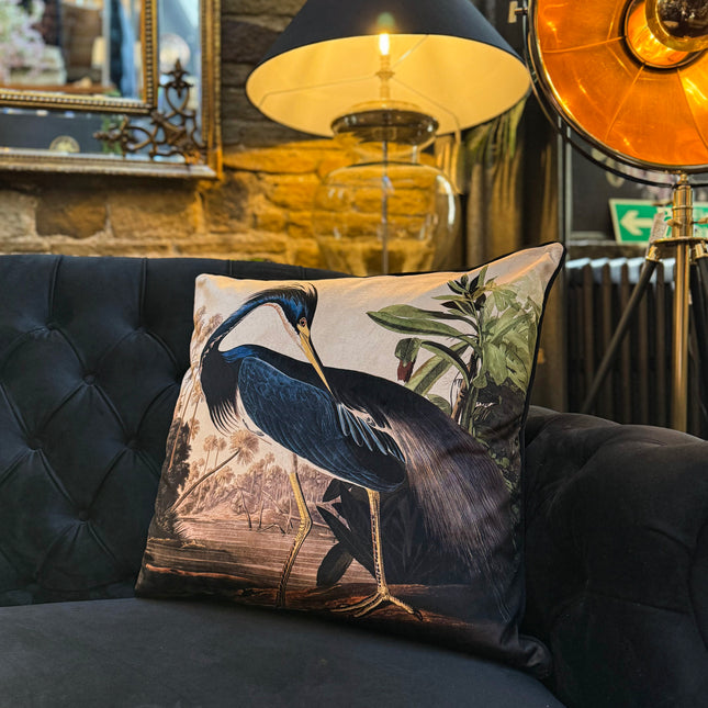 Cushion Scatter in The Louisiana Heron Velvet (Feather Filled) - 60 x 60cm