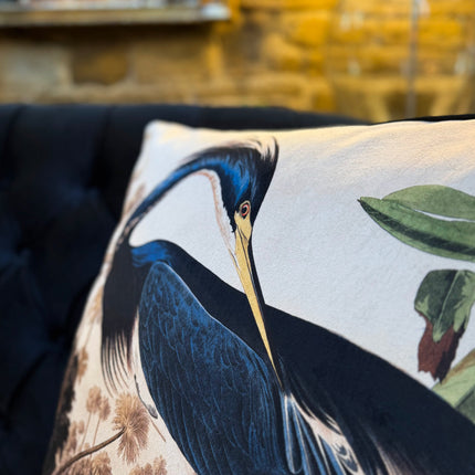 Cushion Scatter in The Louisiana Heron Velvet (Feather Filled) - 60 x 60cm