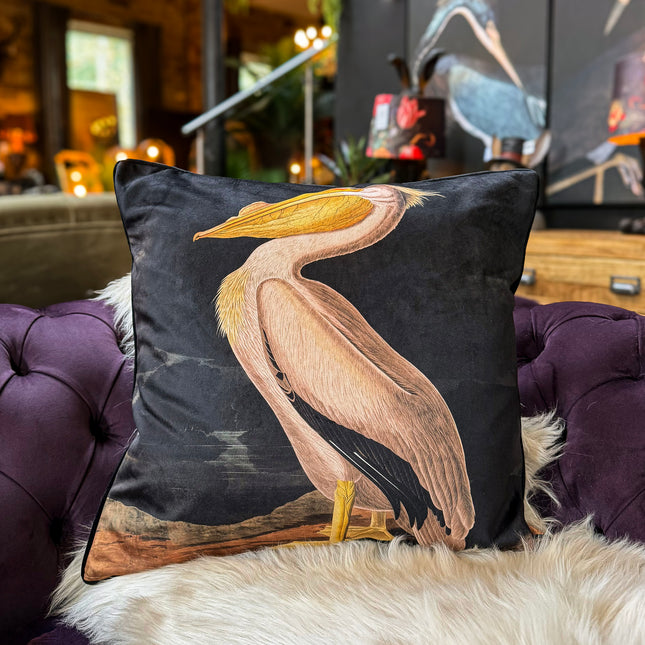 Cushion Scatter in White Pelican Velvet (Feather Filled) - 60 x 60cm