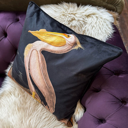 Cushion Scatter in White Pelican Velvet (Feather Filled) - 60 x 60cm