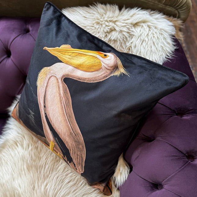 Cushion Scatter in White Pelican Velvet (Feather Filled) - 60 x 60cm