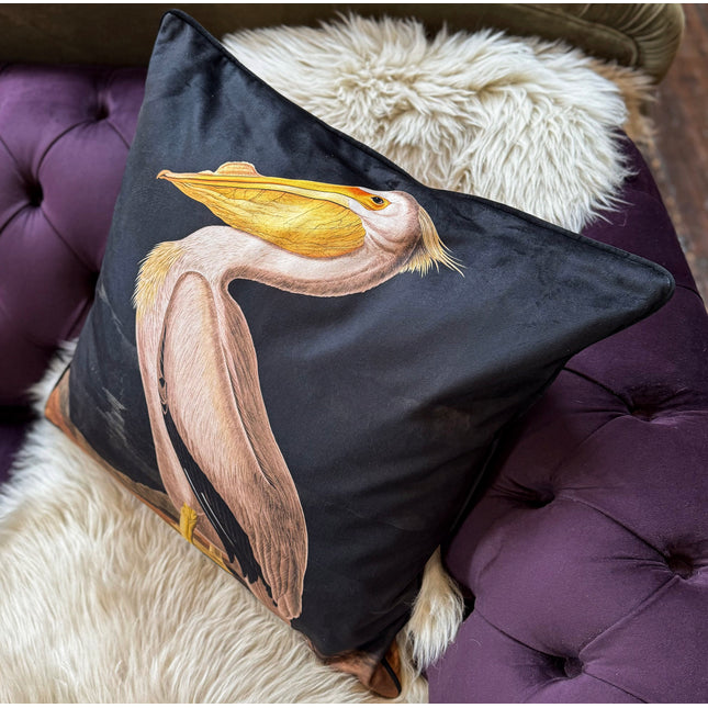Cushion Scatter in White Pelican Velvet (Feather Filled) - 60 x 60cm