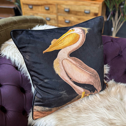 Cushion Scatter in White Pelican Velvet (Feather Filled) - 60 x 60cm