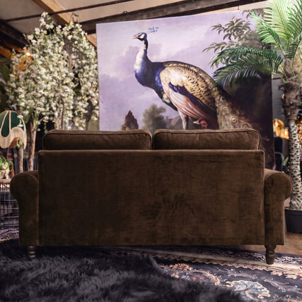 Dopamine in Opulence Velvet