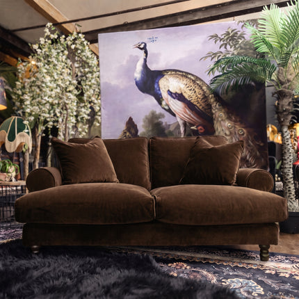 A brown velvet loveseat sofa with matching throw pillows, positioned in a styled room setting with a large peacock wall mural behind it, a patterned rug underneath, and decorative plants around it.