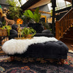 Black Ebony Velvet