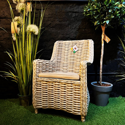 Fiji Garden Out Door Dining Chair in Cream Fabric