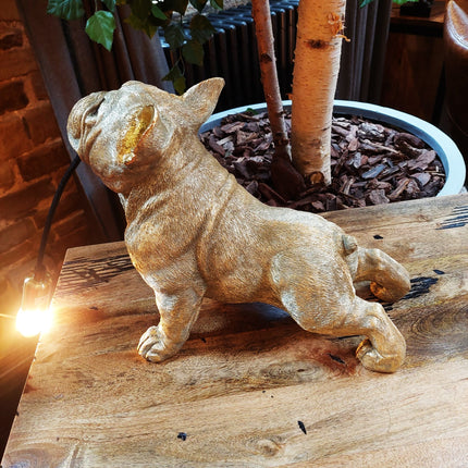 French Bulldog Table Lamp - Gold