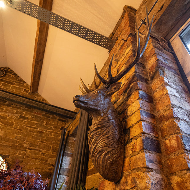 Giant Stag Head