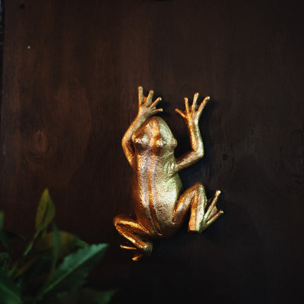 Gold Frog Wall Decoration