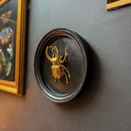 Gold & Black Beetle Wall Decor Plaque - (Various Sizes)