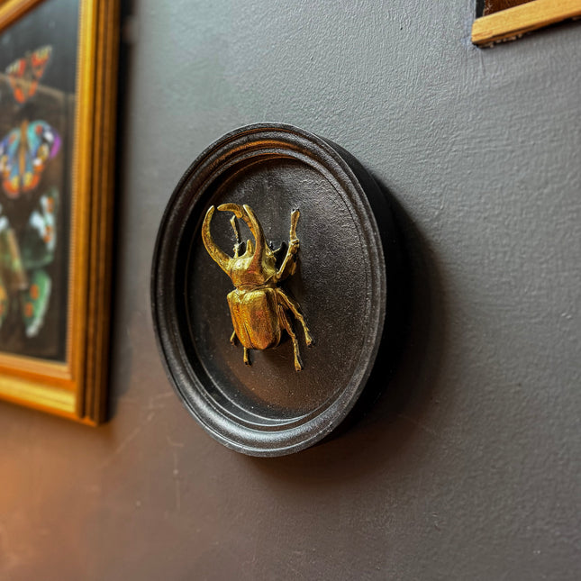 Gold & Black Beetle Wall Decor Plaque - (Various Sizes)