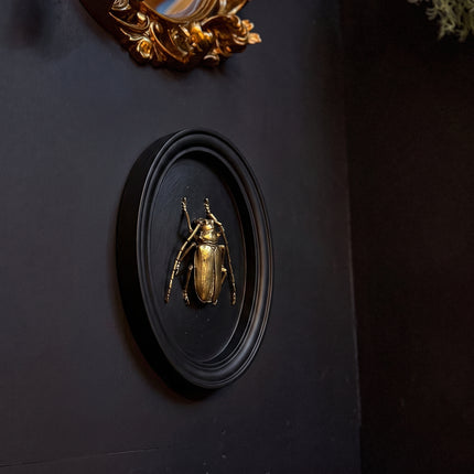 Gold & Black Beetle Wall Decor Plaque