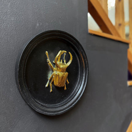 Gold & Black Beetle Wall Decor Plaque - (Various Sizes)