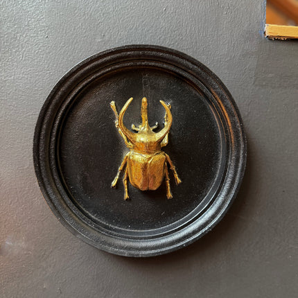 Gold & Black Beetle Wall Decor Plaque - (Various Sizes)
