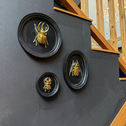 Gold & Black Beetle Wall Decor Plaque - (Various Sizes)