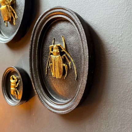 Gold & Black Beetle Wall Decor Plaque - (Various Sizes)