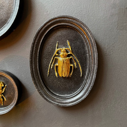 Gold & Black Beetle Wall Decor Plaque - (Various Sizes)